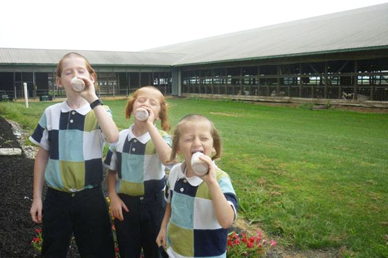 cow farm visit near me