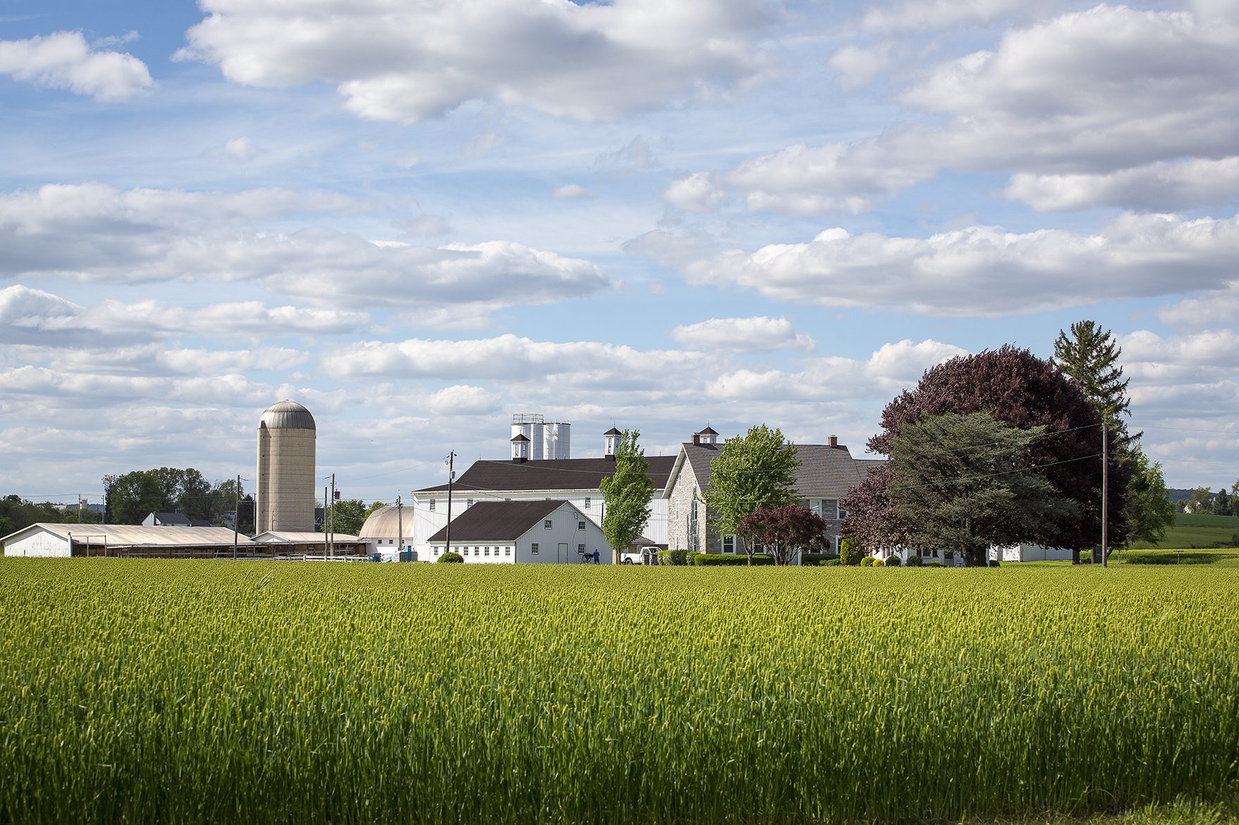 History Kreider Farms