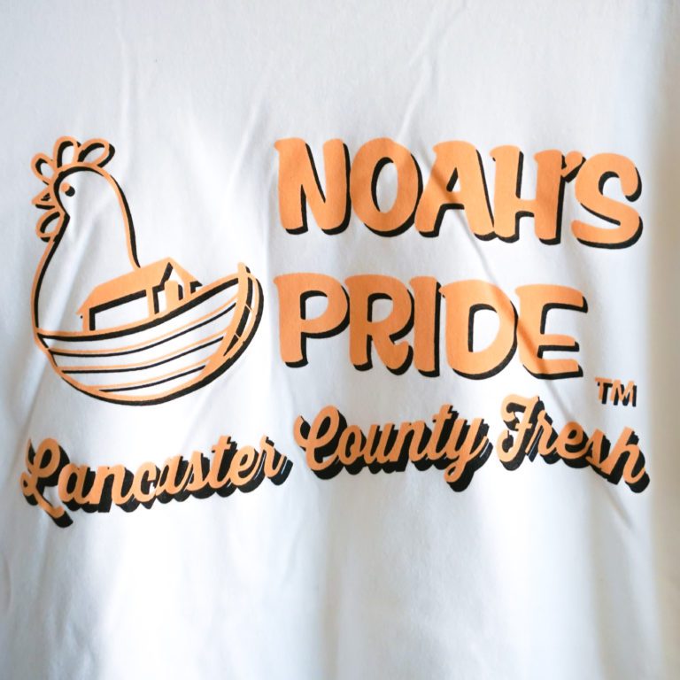 Noah's Pride Tee Detail