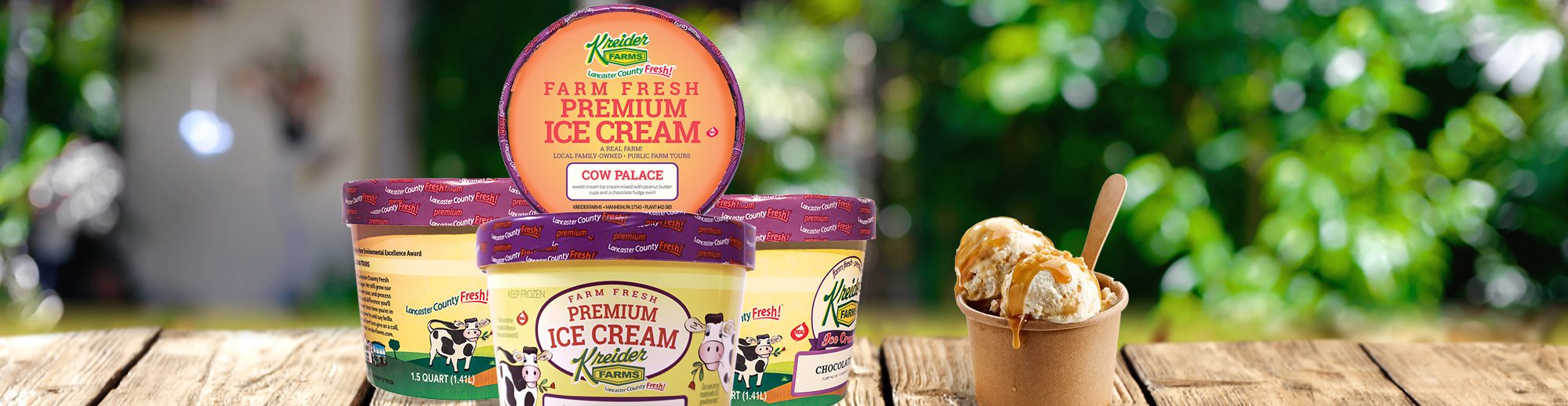 Ice Cream Kreider Farms