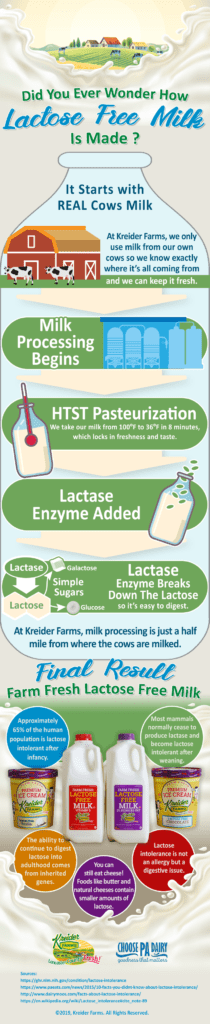 How Lactose Free Milk is Made - Kreider Farms