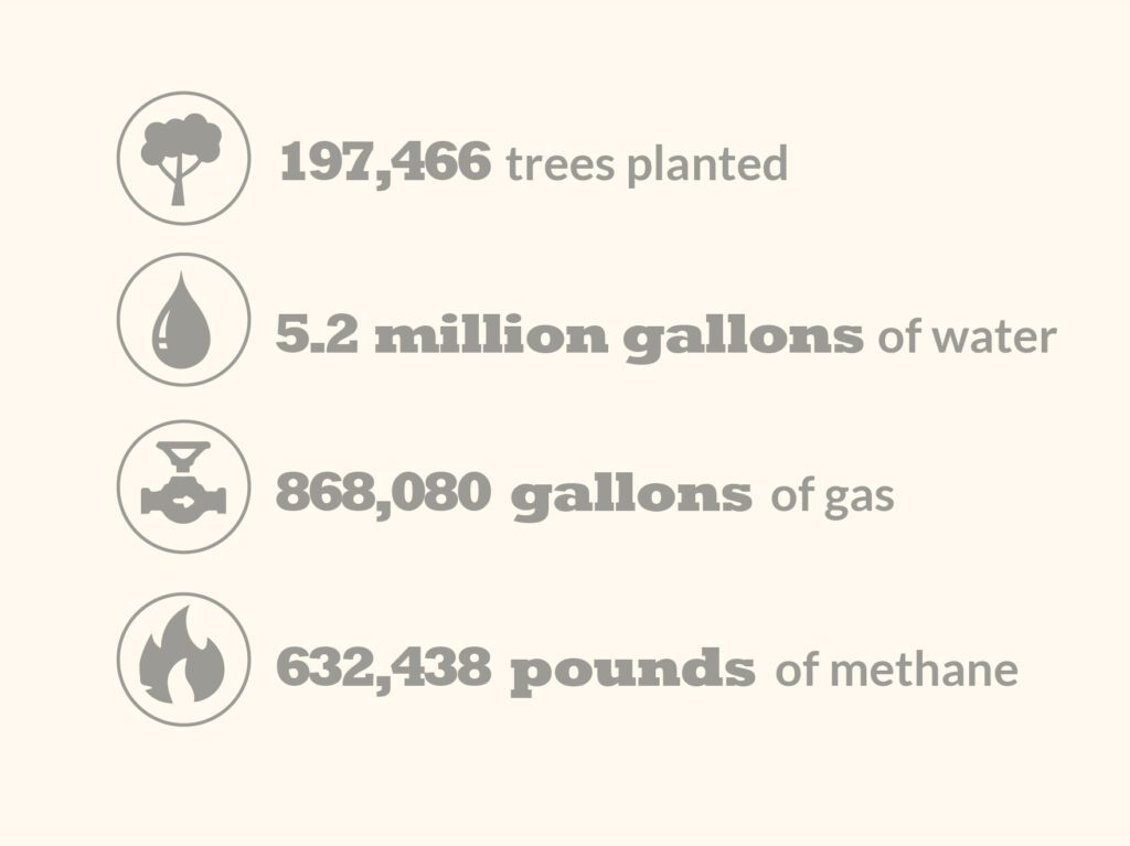 infographic showing environmental impact of solar panels