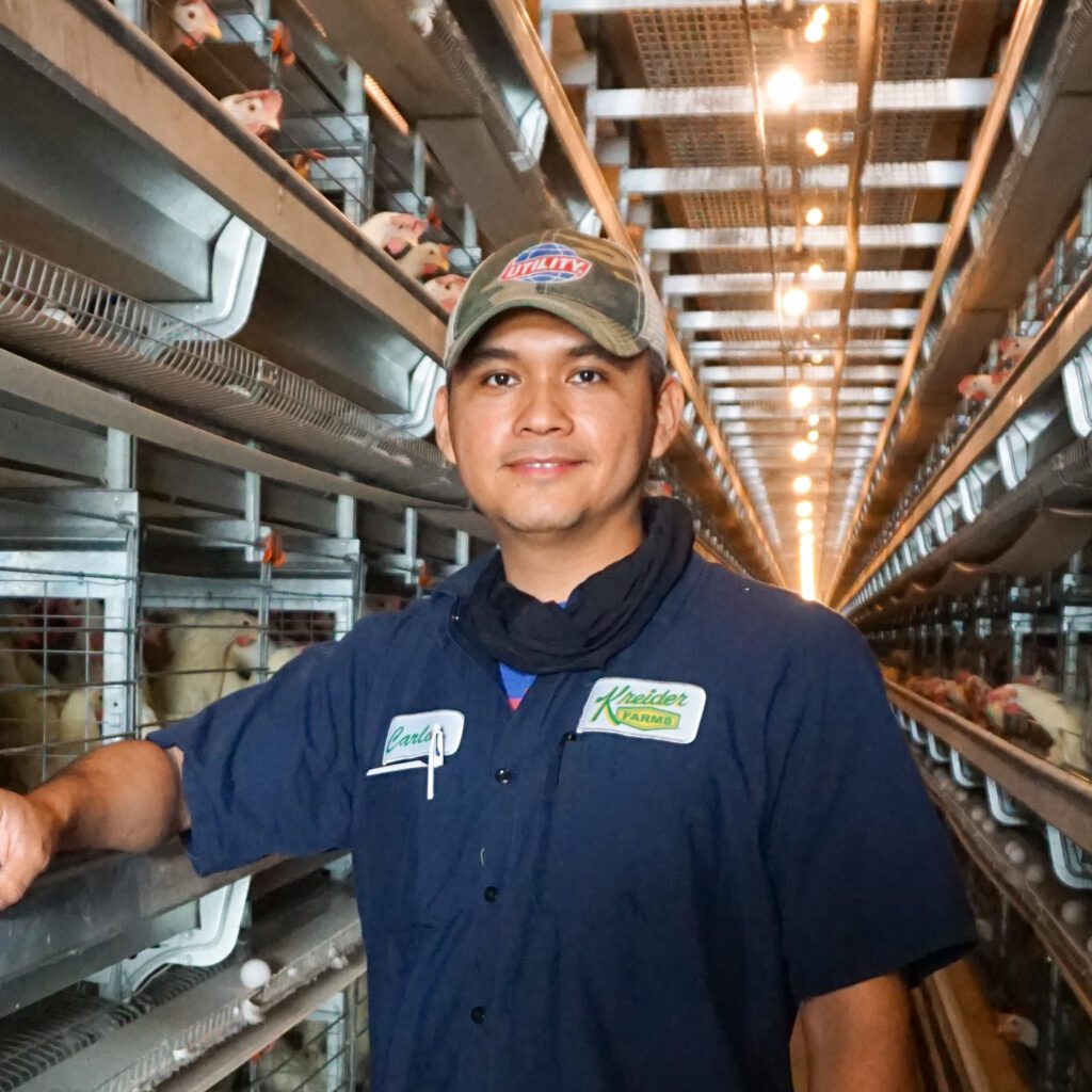 man in conventional chicken house