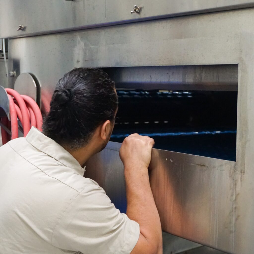 man looking into processing equipment