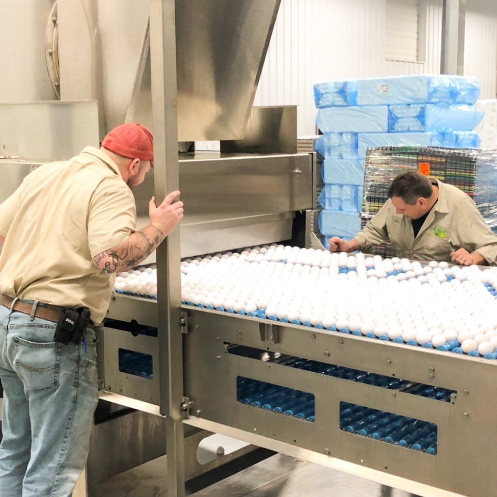 two men inspecting and checking conveyor belts