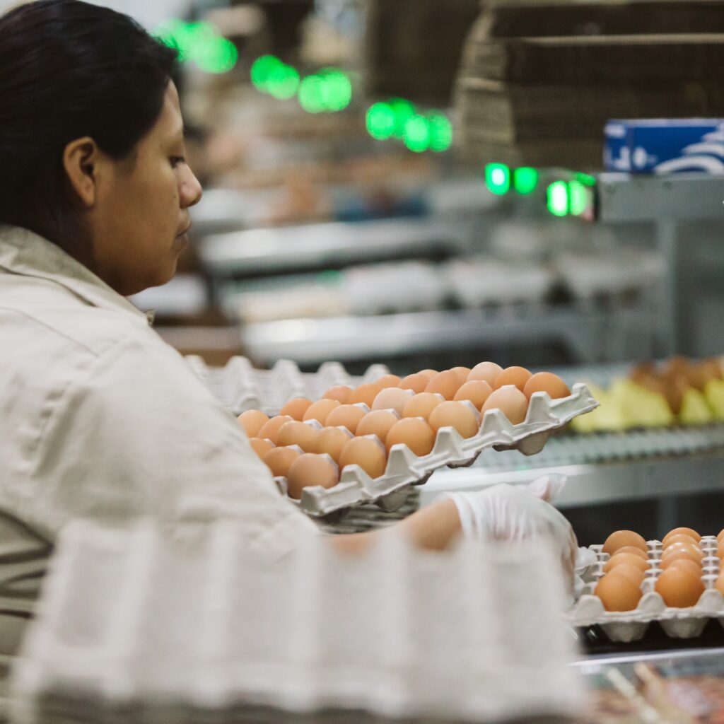 woman packing egg flat in processing facility