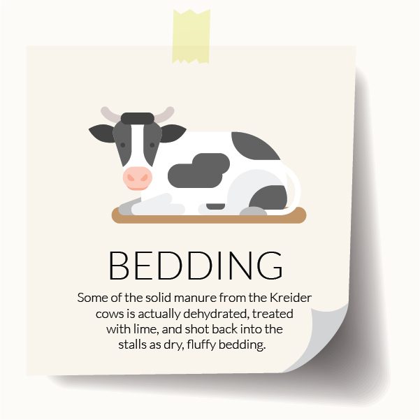 Bedding Graphic